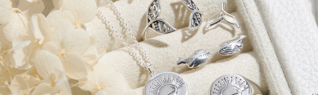 Whale Wonders