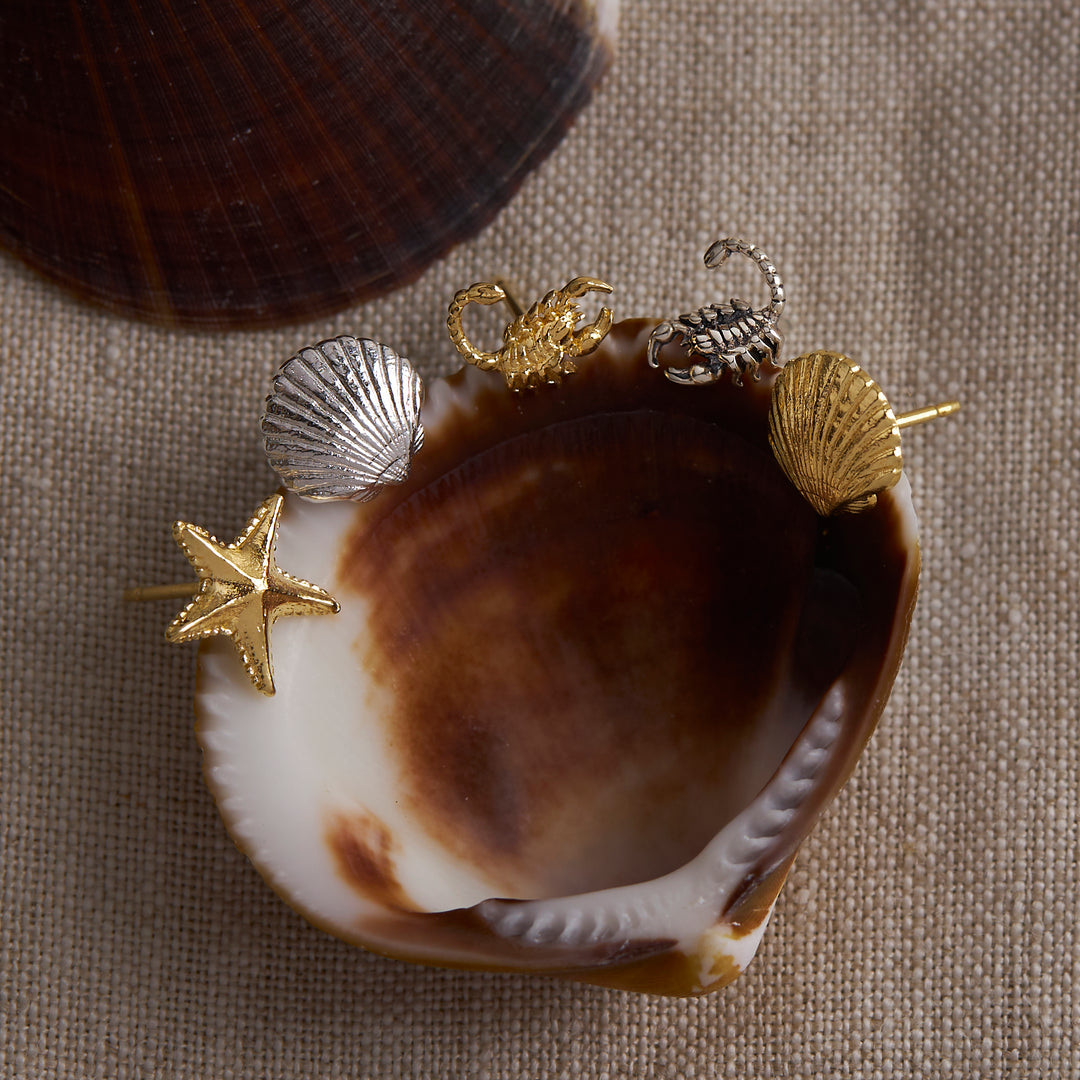 Dainty Starfish Studs Gold