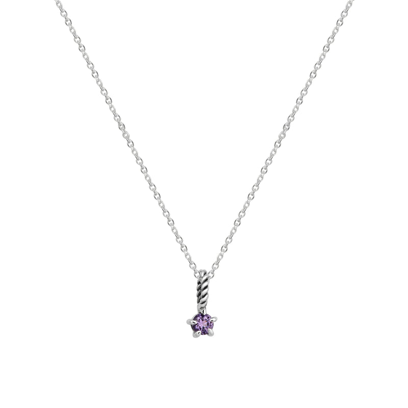 Amethyst Birthstone Neck Charm