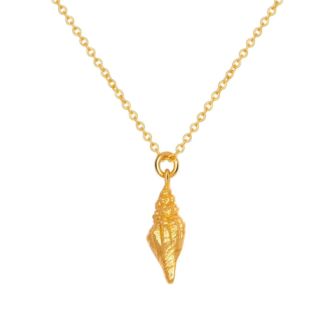 Spiral Shell Gold Necklace