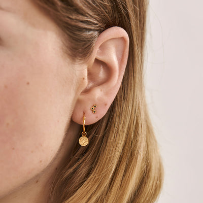 Asteria Hoops Gold