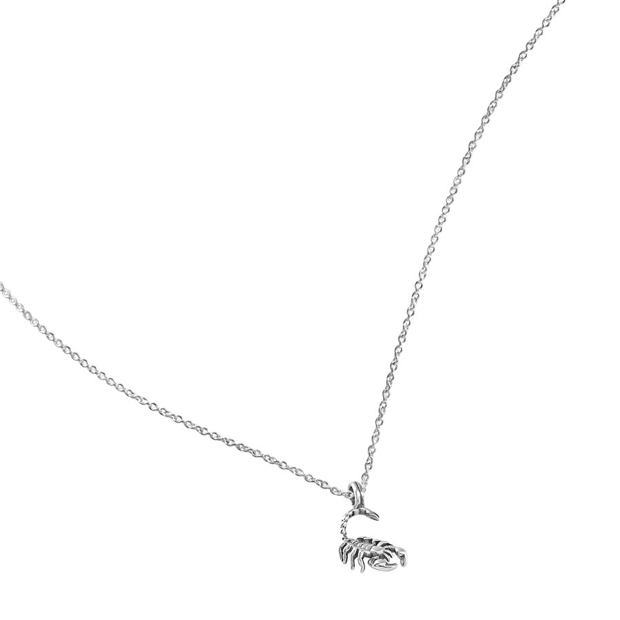 Sterling silver necklace with a small scorpion pendant on a white background
