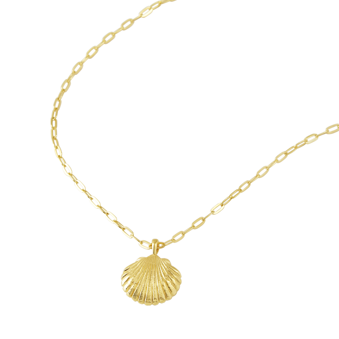 Sandshell Necklace Gold