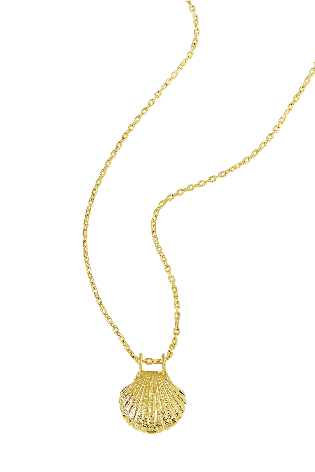 Textured Seashell Locket Gold
