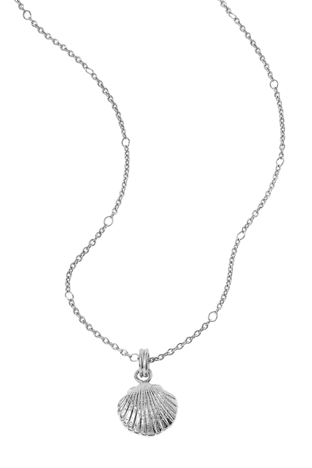 Textured Seashell Necklace