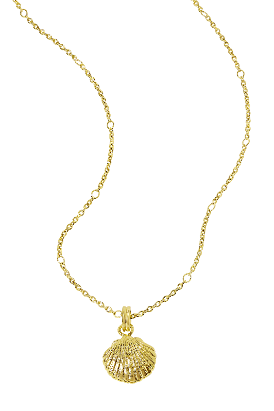 Textured Seashell Necklace Gold