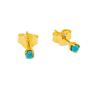 Delicate Turquoise Studs Gold