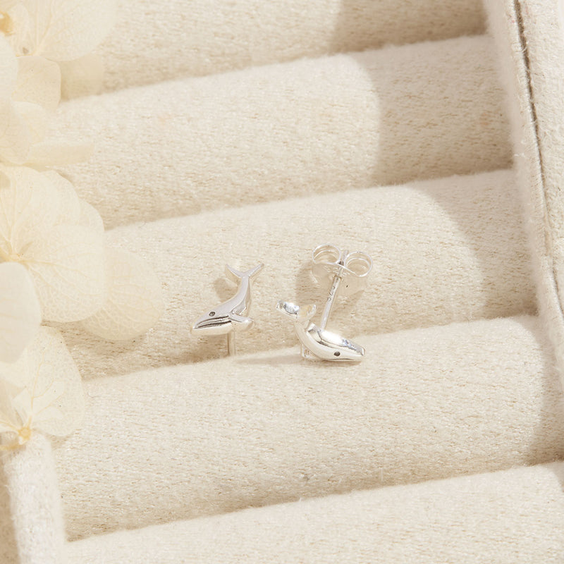 Whale Song Studs