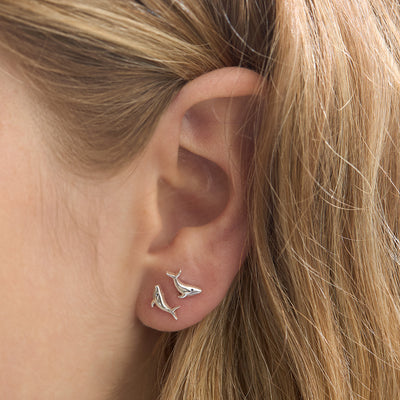 Whale Song Studs