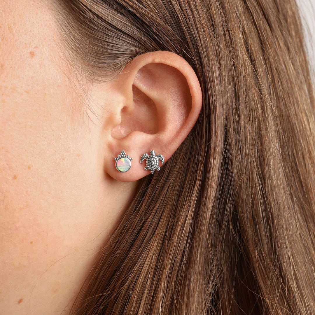 Sea Turtle Studs