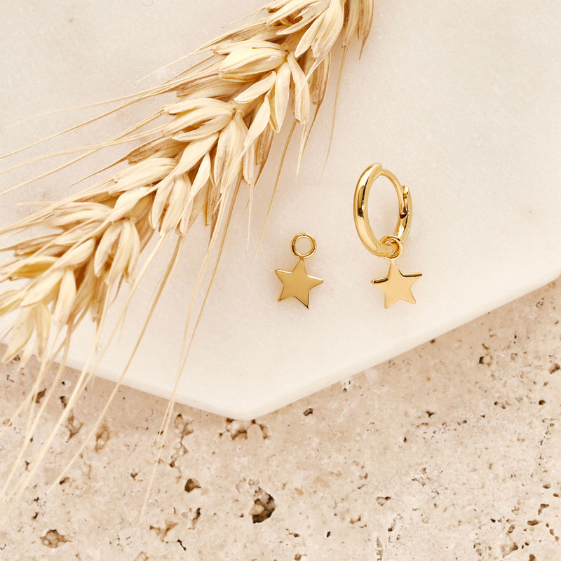 Star Ear Gold Charms