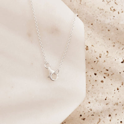 Dainty Duo Tantra Necklace
