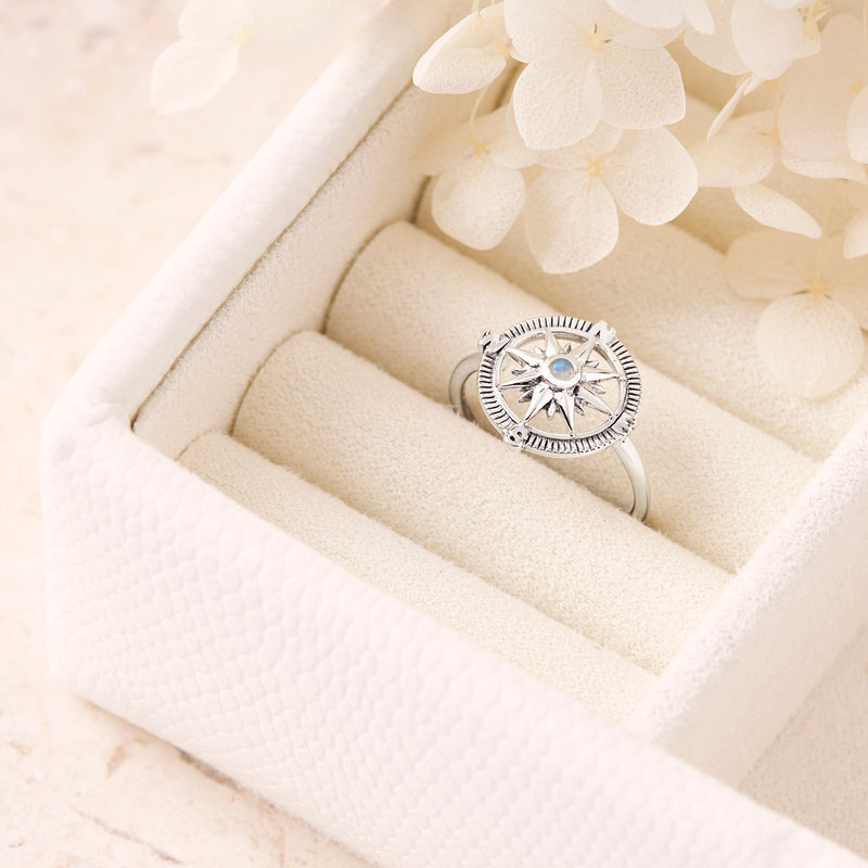 Guiding Light Compass Moonstone Ring – Midsummer Star