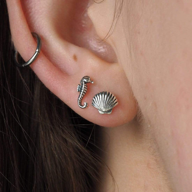Midsummer Star Earrings Dainty Seashell Studs