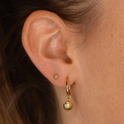 Midsummer Star Earrings Gold Seashell Sleepers